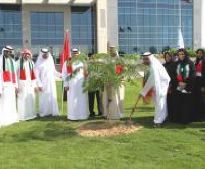 HBMeU plants the Union Tree