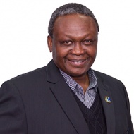 Professor Awoniyi Awofeso